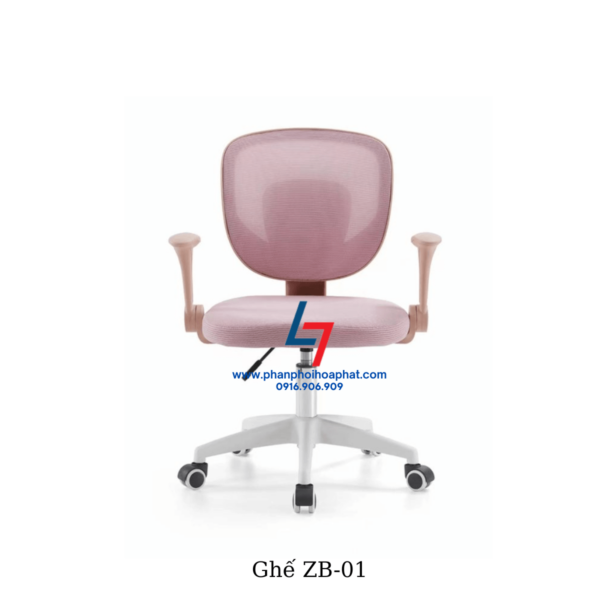 zb-01