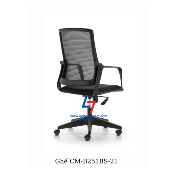 cm-b251bs-21