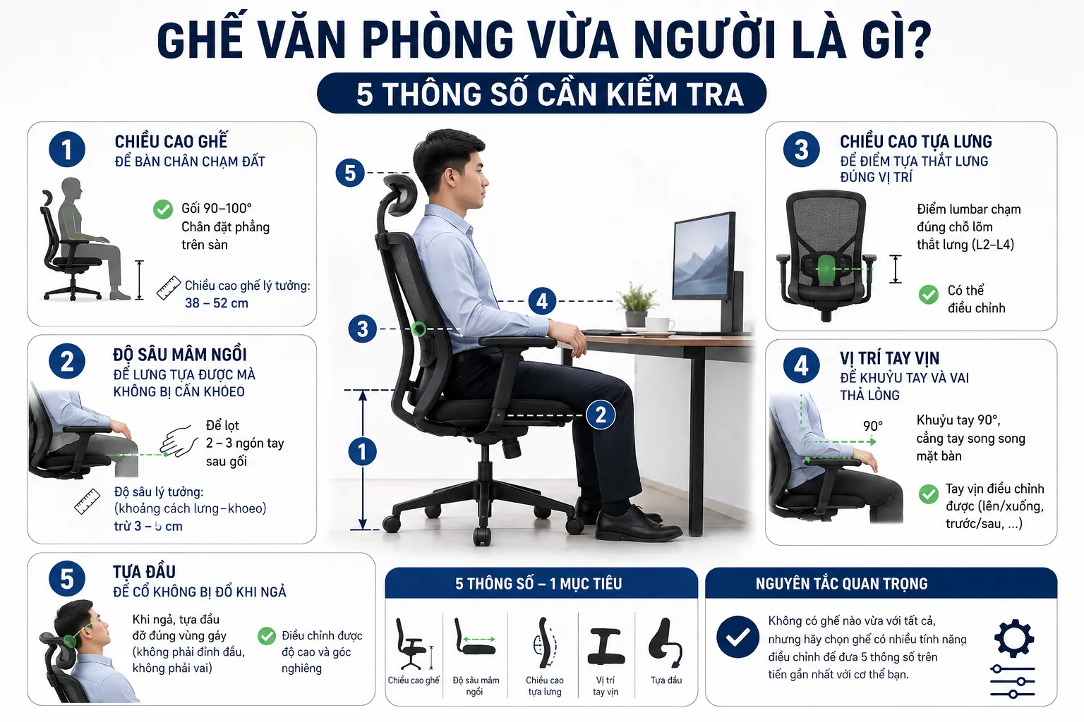 Ghế văn phòng vừa người